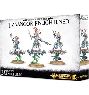 Tzeentch Arcanites Tzaangor Enlightened Warhammer Age of Sigmar 